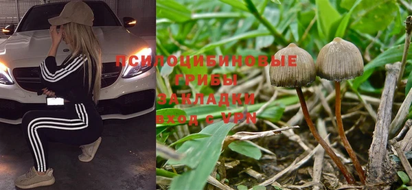 Альфа ПВП Баксан
