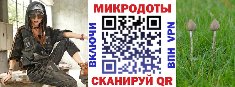 Купить закладки  Добрянка  Псилоцибиновые грибы GOLDEN TEACHER 